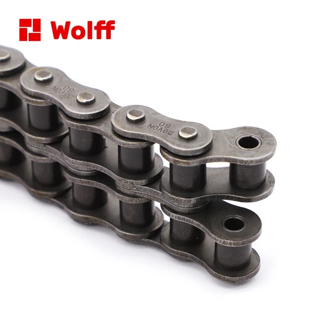 Double Strand ANSI Roller Chain manufacturer